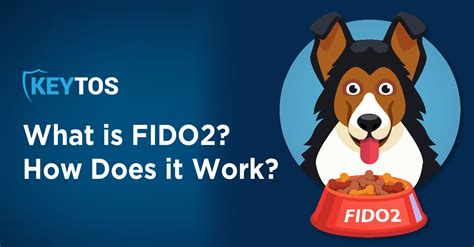 what does fido stand for.